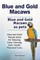 Blue and Gold Macaws. Blue and Gold Macaws as pets. Blue and Gold Macaw book for Keeping, Care, Housing, Diet, Health. Pros and Cons.