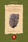 History and Religon of the Egyptians, Assyrians, Babylonians, Medes, Persians, Greeks and Romans