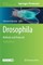 Drosophila