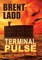 Terminal Pulse