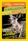 Kangaroo to the Rescue!