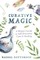 Curative Magic