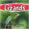 Lizards