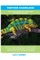 Panther Chameleon