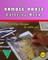 The Ramble House Coloring Book