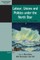 Labour, Unions and Politics Under the North Star
