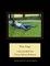 The Nap