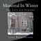 Montreal In Winter