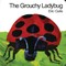 The Grouchy Ladybug Board Book