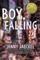 Boy, Falling