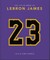 The Little Guide to Lebron James