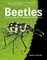 Beetles