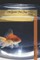 The Greatest Fish Story Never Told