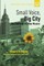 Small Voice, Big City
