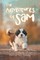 The Adventures of Sam