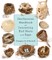 Smithsonian Handbook of Interesting Bird Nests and Eggs