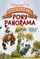 Thelwell's Pony Panorama