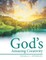 God's Amazing Creativity