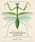 Innumerable Insects