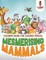 Mesmerising Mammals