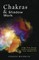 Chakras and Shadow Work