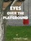 Eyes Over the Playground: A Project Nartana Case