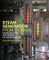 Steam Generation from Biomass