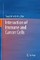 Interaction of Immune and Cancer Cells
