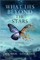 What Lies Beyond the Stars