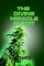 The Divine Miracle Plant