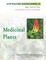 Medicinal Plants