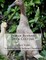 Indian Runner Duck Culture