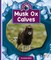 Musk Ox Calves