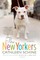 The New Yorkers
