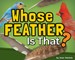 Whose Feather Is That?