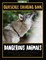 Dangerous Animals Grayscale Coloring Book