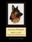 German Shepard