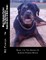 Meet Samson Parker The Rottweiler - Samson Gets A New Home