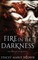Fire In The Darkness