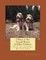 I Want A Pet Grand Basset Griffon Vendeen