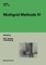 Multigrid Methods IV
