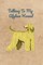 Talking To My Afghan Hound
