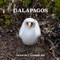Galapagos