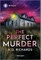 The Perfect Murder
