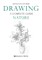Drawing- A Complete Guide: Nature