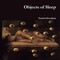 Objects of Sleep