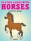 Playing Games with Horses Activity Book