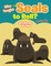 Who Taught The Seals to Roll? Coloring Book