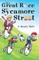 The Great Race to Sycamore Street