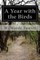 A Year with the Birds